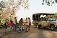 safari bar