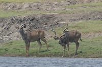 P1020994
