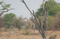 P1030067