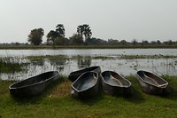 P1030116