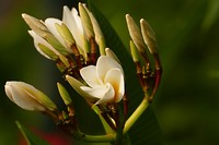 P1030120