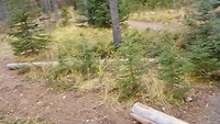 20181012_010406