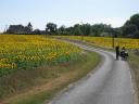 Tussen Chartres en Tours, bouquetje zonnebloemen!