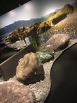 Canterbury Museum, zeker een bezoek waard!
