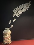 Canterbury Museum, zeker een bezoek waard!