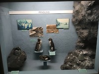 Canterbury Museum, zeker een bezoek waard!