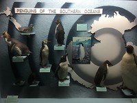 Canterbury Museum, zeker een bezoek waard!