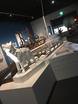Canterbury Museum, zeker een bezoek waard!