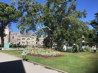 Botanic Gardens/Hagley Park