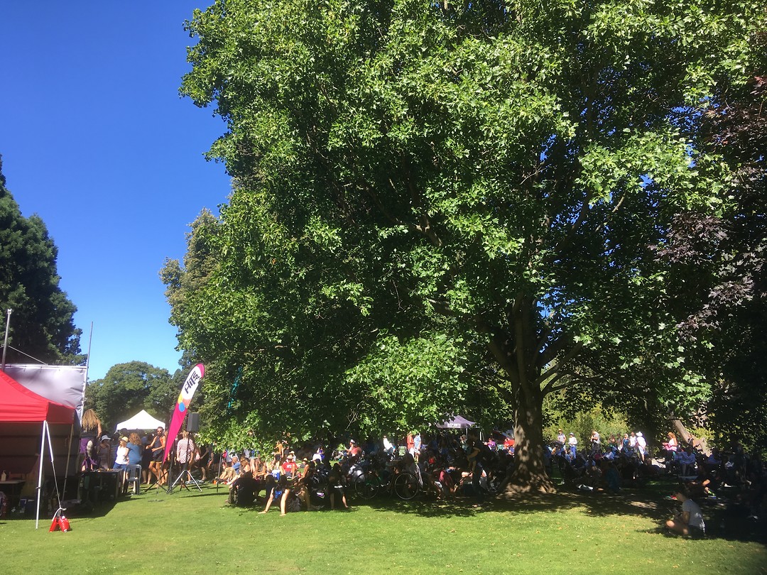 Botanic Gardens/Hagley Park