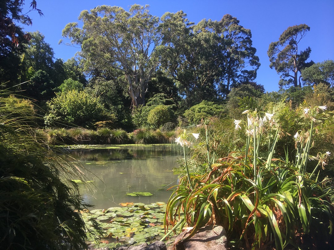Botanic Gardens/Hagley Park