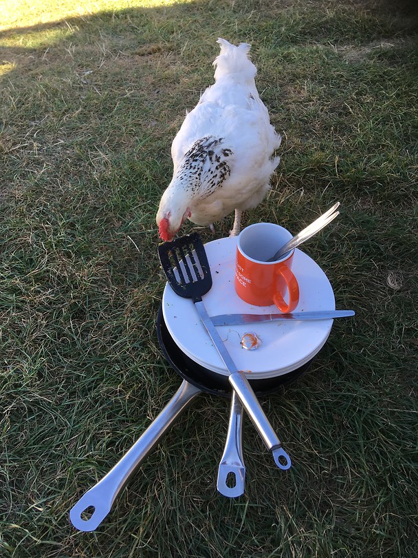 Je eet hier nooit alleen