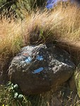 De blauwe smiley, gelukkig zat ik goed😅