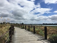 Soms goed begaanbare paden