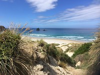 Sandfly Bay