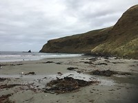 Papanui Beach