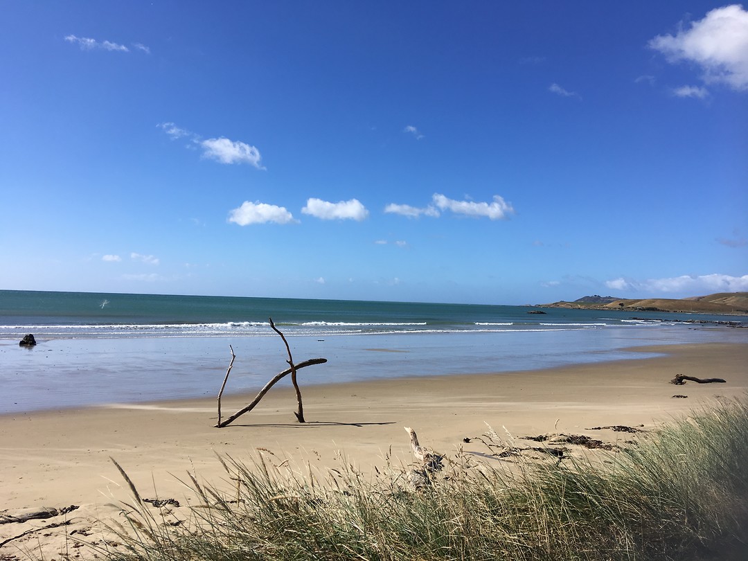 Kaka Point beach
