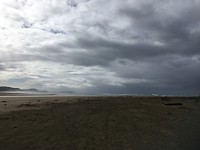 Papatowai in de regen