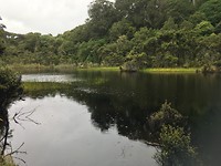 Lake Wilkie