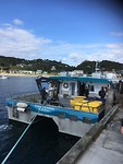 Catamaran in Oban