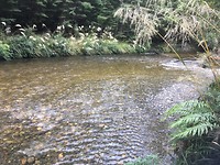 Zeer helder water