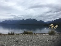 Lake Manapouri