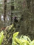 Prachtige vogel en niet schuw!