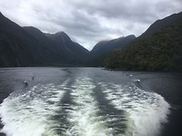 Doubtful Sound
