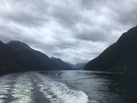 Doubtful Sound