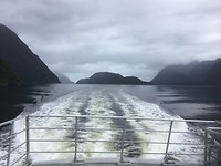 Doubtful Sound