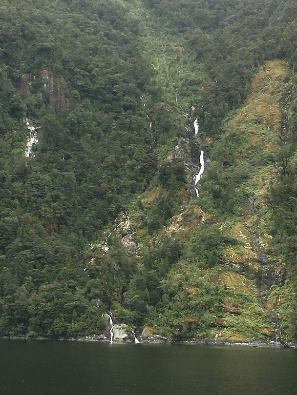 Doubtful Sound