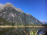 Milford Sound