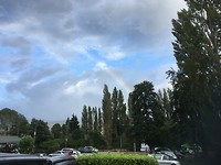 Regenboog