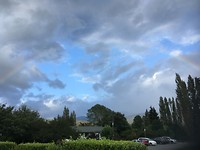 Regenboog