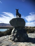 Sheep Dog Statue