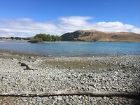 Kiezelstrand Lake Tekapo