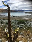 Lake Tekapo