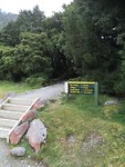Begin Kea Point Track