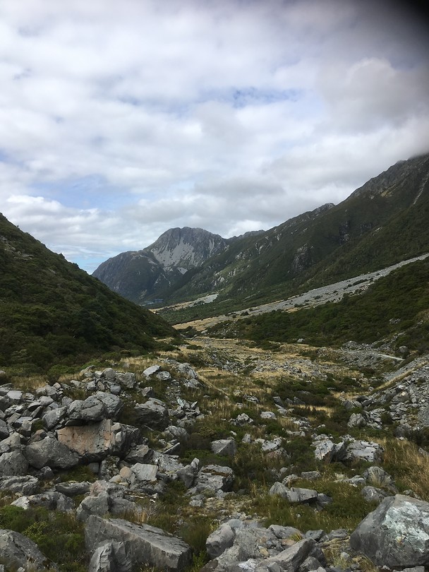 Kea Point Track