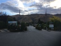 Camping Wanaka