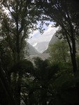 Fox Glacier, dichterbij kon helaas niet