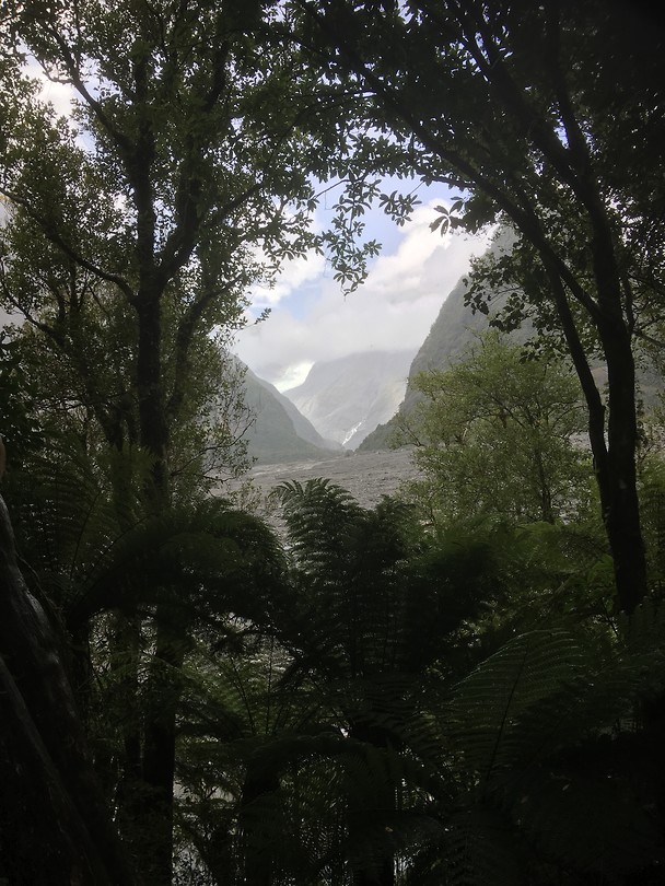 Fox Glacier, dichterbij kon helaas niet