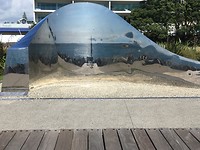 Spiegelkunstwerk, bijzonder als je er langs loopt en kijkt vanuit verschillende hoeken
