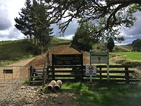 Start wandeling naar Mt Damper Falls