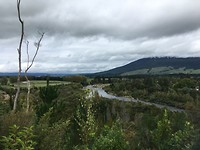 Tongariro River Track