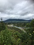Tongariro River Track