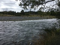 Tongariro River Track