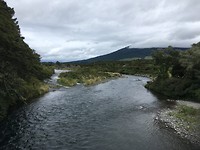 Tongariro River Track