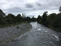 Tongariro River Track