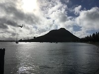 Zicht vanuit Pilot Bay op Mount Maunganui